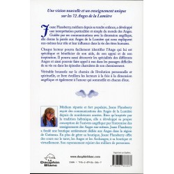 Livre Les Anges au Quotidien