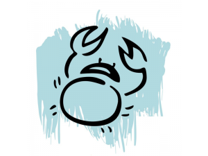 Cancer (22 juin au 22 juillet)