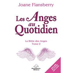 Livre Les Anges au Quotidien